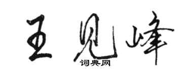 駱恆光王見峰行書個性簽名怎么寫