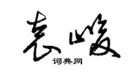 曾慶福袁峻草書個性簽名怎么寫