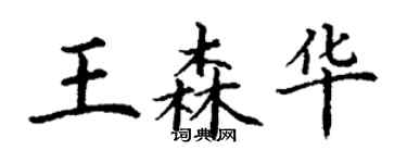 丁謙王森華楷書個性簽名怎么寫