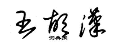 朱錫榮王胡漢草書個性簽名怎么寫