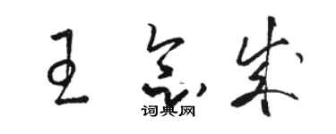 駱恆光王念成草書個性簽名怎么寫