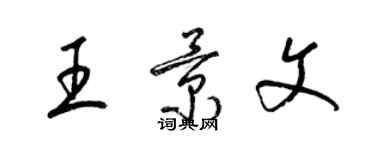 梁錦英王景文草書個性簽名怎么寫