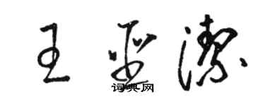 駱恆光王聖潔草書個性簽名怎么寫