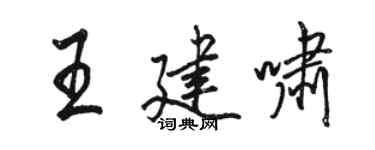 駱恆光王建嘯行書個性簽名怎么寫