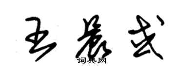 朱錫榮王晨或草書個性簽名怎么寫