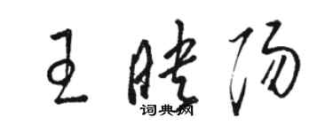 駱恆光王映陽草書個性簽名怎么寫