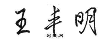 駱恆光王豐明行書個性簽名怎么寫