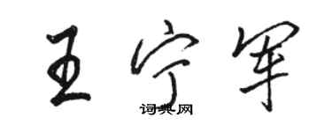 駱恆光王寧軍行書個性簽名怎么寫
