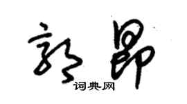 朱錫榮郭昂草書個性簽名怎么寫