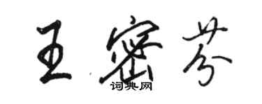 駱恆光王密芬行書個性簽名怎么寫