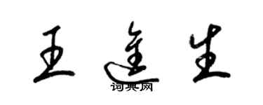 梁錦英王進生草書個性簽名怎么寫