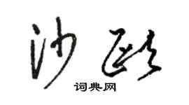 駱恆光沙歐草書個性簽名怎么寫