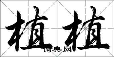 胡問遂植植行書怎么寫