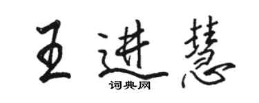 駱恆光王進慧行書個性簽名怎么寫