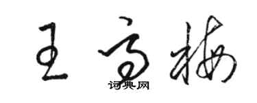 駱恆光王高梅草書個性簽名怎么寫
