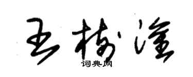 朱錫榮王樹淦草書個性簽名怎么寫