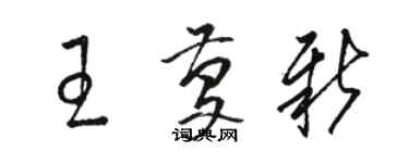 駱恆光王慶新草書個性簽名怎么寫