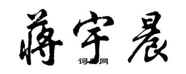 胡問遂蔣宇晨行書個性簽名怎么寫