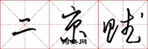 駱恆光二京賦草書怎么寫