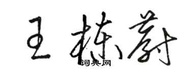 駱恆光王棟蔚草書個性簽名怎么寫