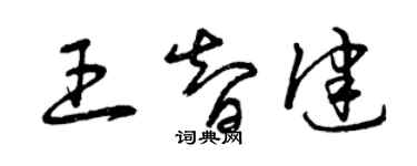 曾慶福王智健草書個性簽名怎么寫