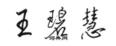 駱恆光王碧慧行書個性簽名怎么寫