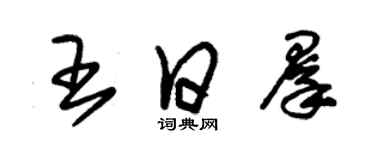 朱錫榮王日群草書個性簽名怎么寫