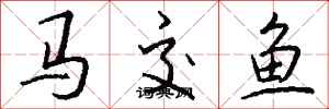 錢沛雲馬交魚行書怎么寫