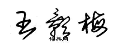 朱錫榮王影梅草書個性簽名怎么寫