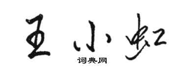 駱恆光王小虹行書個性簽名怎么寫