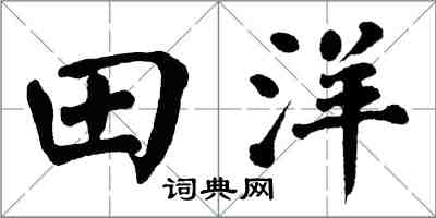 翁闓運田洋楷書怎么寫