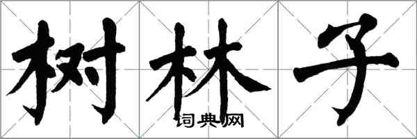 翁闓運樹林子楷書怎么寫
