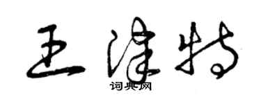 曾慶福王津特草書個性簽名怎么寫