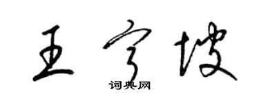 梁錦英王寧坡草書個性簽名怎么寫