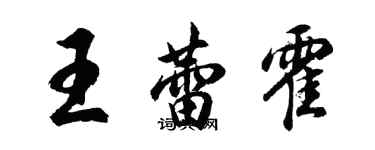 胡問遂王蕾霍行書個性簽名怎么寫