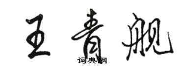 駱恆光王青艦行書個性簽名怎么寫