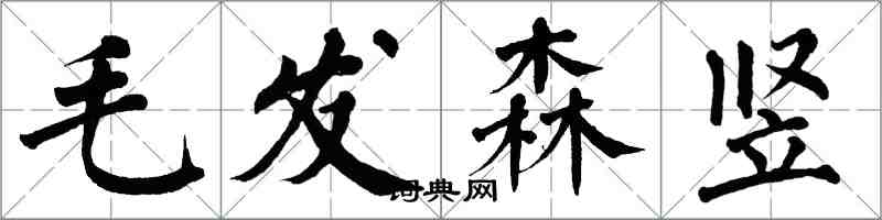 翁闓運毛髮森豎楷書怎么寫