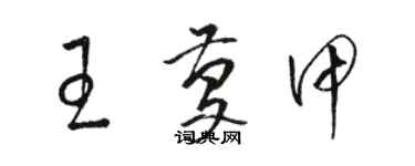 駱恆光王慶甲草書個性簽名怎么寫