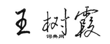 駱恆光王樹霞行書個性簽名怎么寫