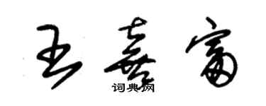 朱錫榮王喜富草書個性簽名怎么寫