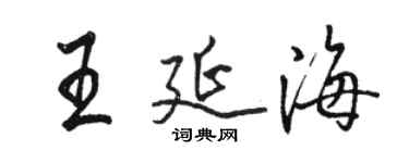 駱恆光王延海行書個性簽名怎么寫