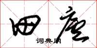朱錫榮田廬草書怎么寫