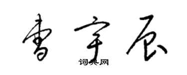 梁錦英曹宇辰草書個性簽名怎么寫