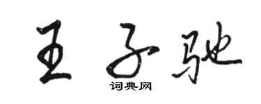 駱恆光王子馳行書個性簽名怎么寫