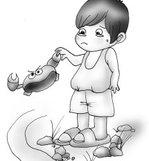 捉螃蟹_捉螃蟹作文