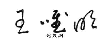 駱恆光王唯明草書個性簽名怎么寫