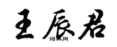 胡問遂王辰君行書個性簽名怎么寫