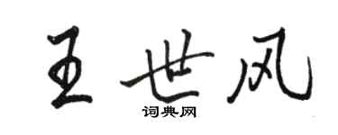 駱恆光王世風行書個性簽名怎么寫