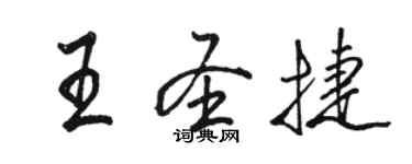 駱恆光王聖捷行書個性簽名怎么寫