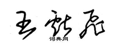 朱錫榮王獻飛草書個性簽名怎么寫
